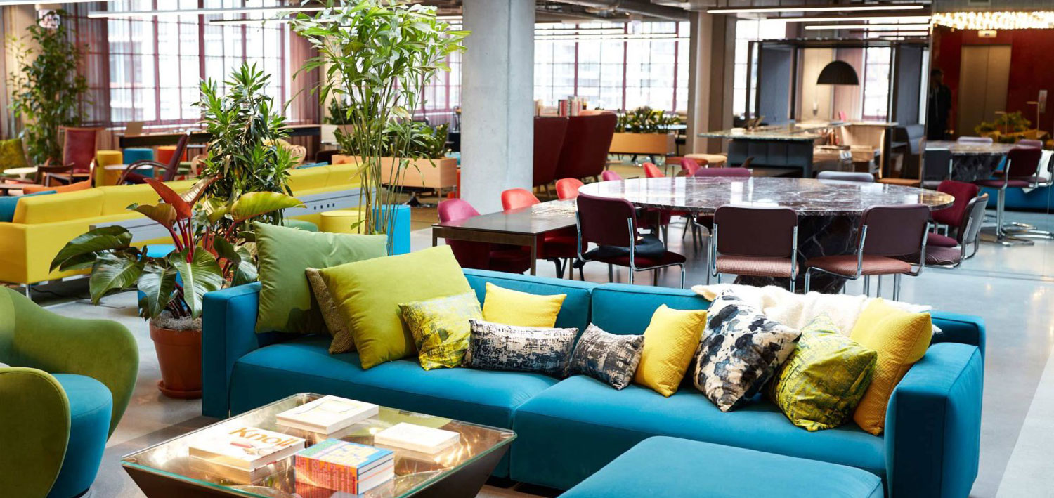 Discover Knoll